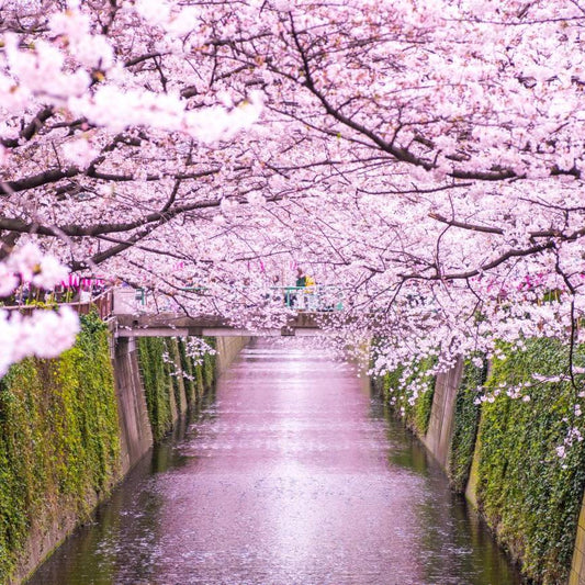 Tokyo Twilight Candle